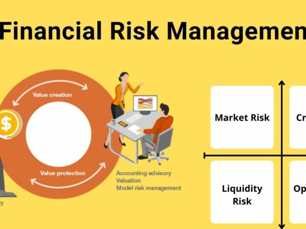 Corporate Finance: Maximizing Value and Managing Risk in the Business World